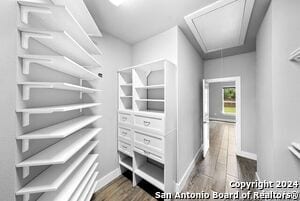 Building Photo - 950 Paradise Dr