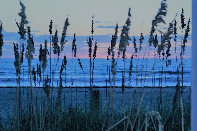 Building Photo - 309 Lincoln Ave