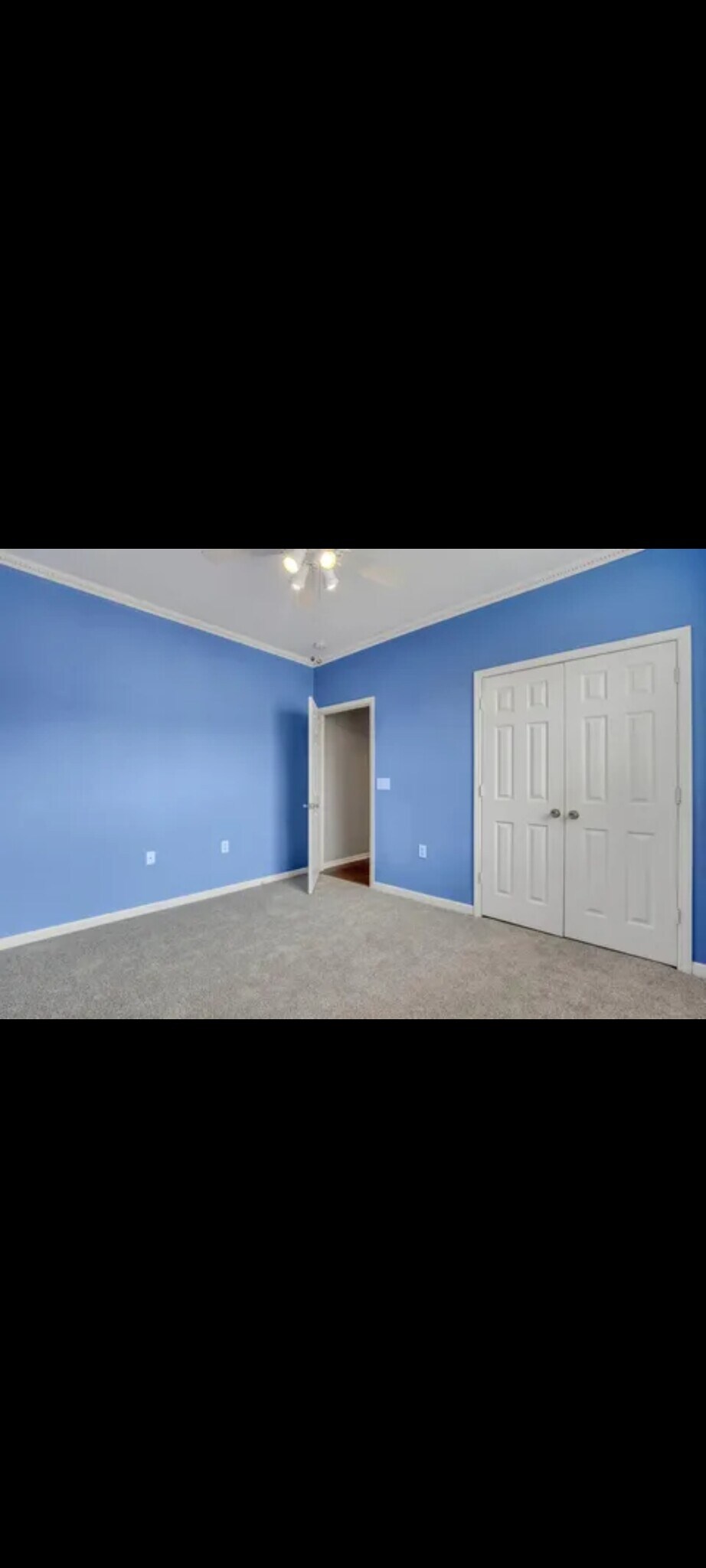 2nd bedroom with new carpet - 1443 Cambridge Lakes Dr
