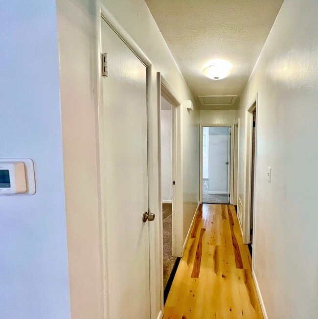 Building Photo - Swannanoa - Perfect Location, Fantastic Bungalow!