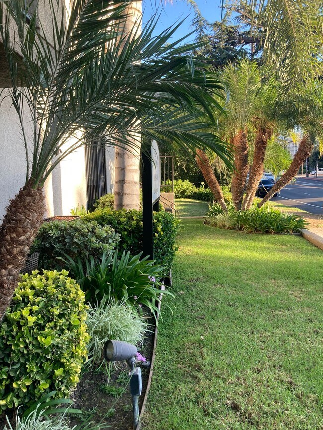 Building Photo - KBC Cahuenga Toluca Lake