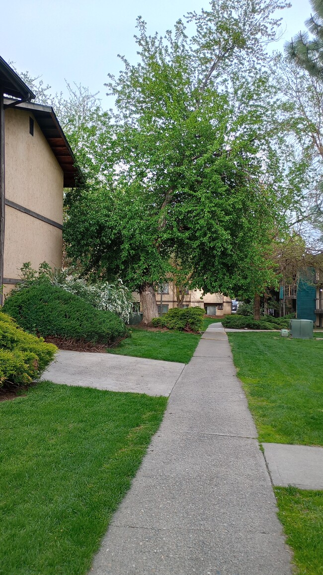 Building Photo - University Village Apartments