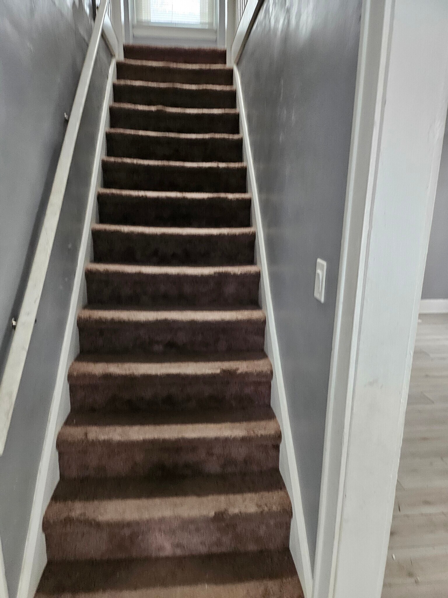 Building Photo - 573 Grace Ave