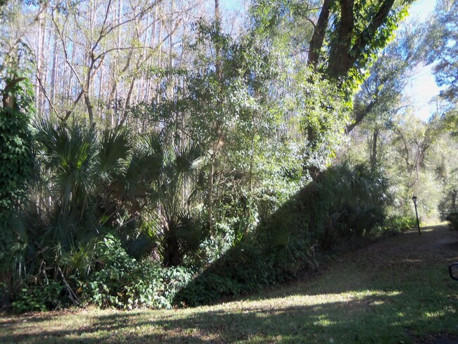 Building Photo - Pine Ridge at Lake Tarpon