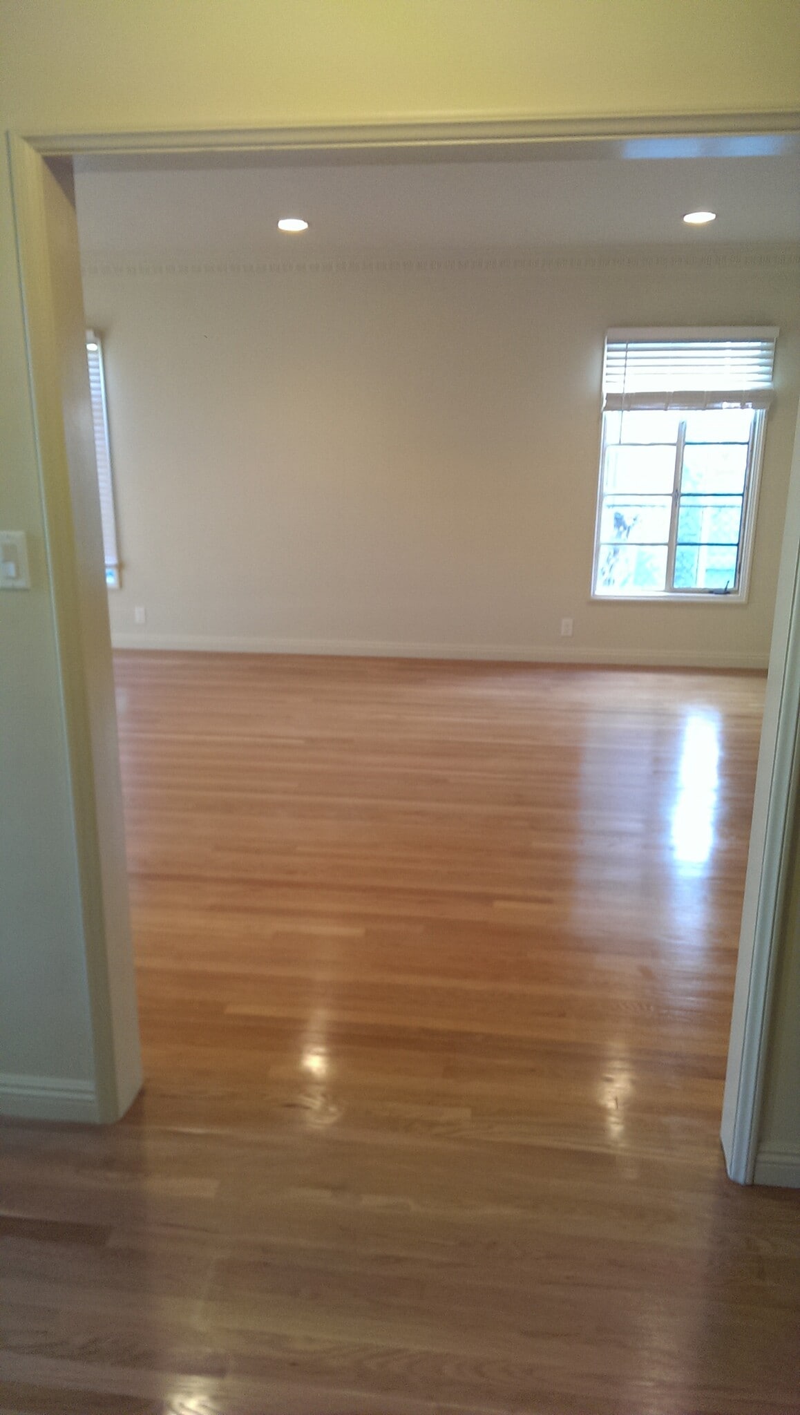 Living Room - 1226 S Longwood Ave