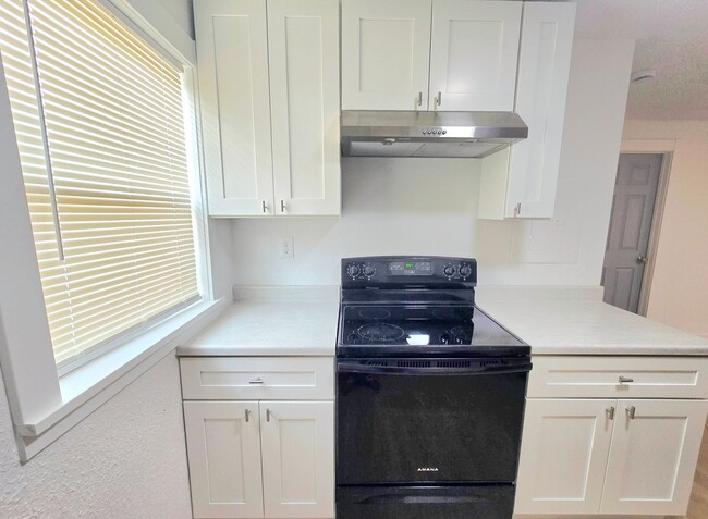 Building Photo - Fully Remolded 2 Bedroom Apartment Move-in READY! Move In Special Offering $550 Move In Credit!