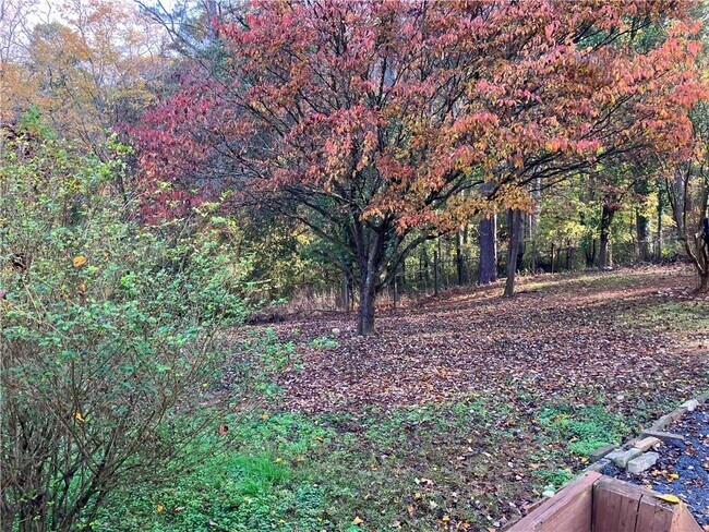 Building Photo - 4593 Catfish Ct SE