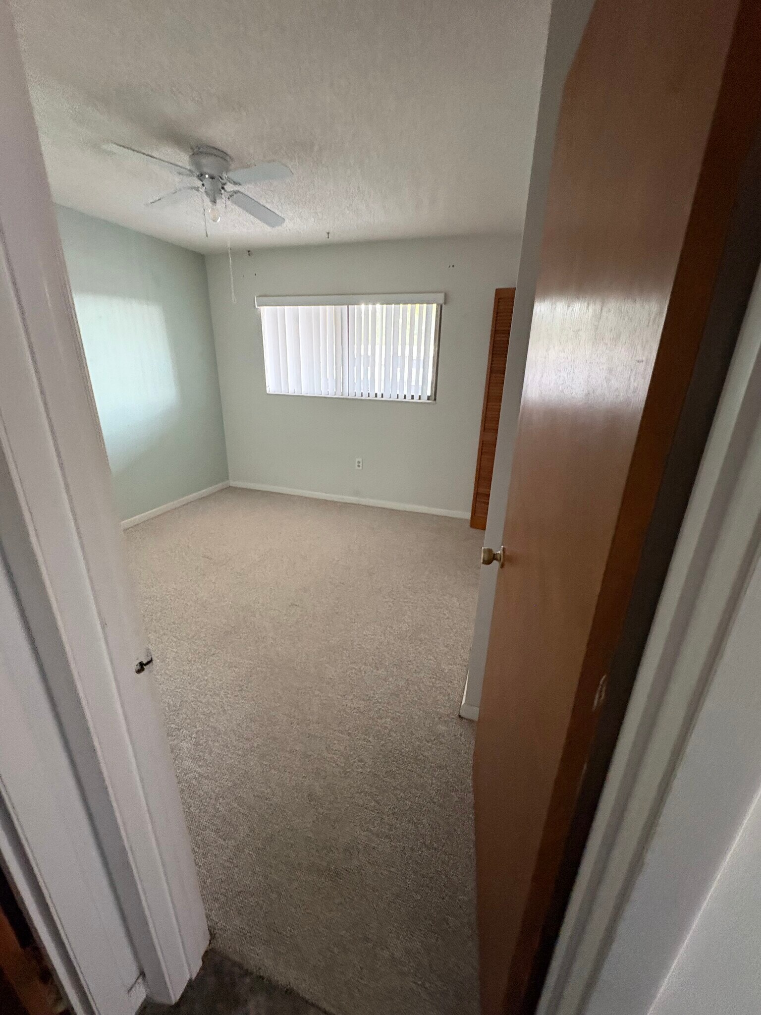 Building Photo - 205 Palmetto Ave