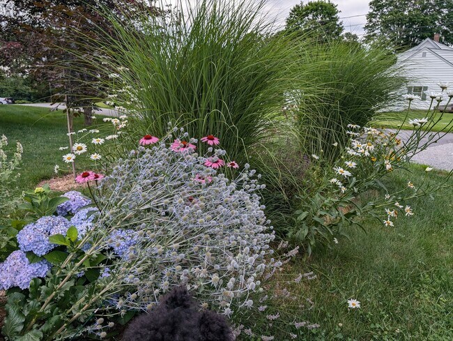 Building Photo - 24 Warren Ave