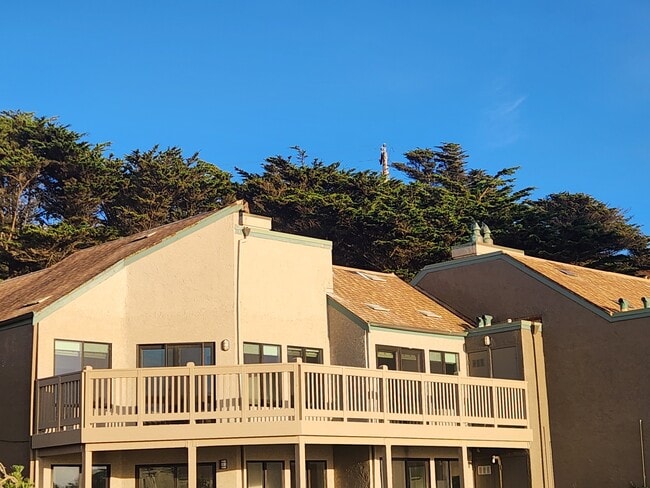 Building Photo - 210 Palmetto Ave