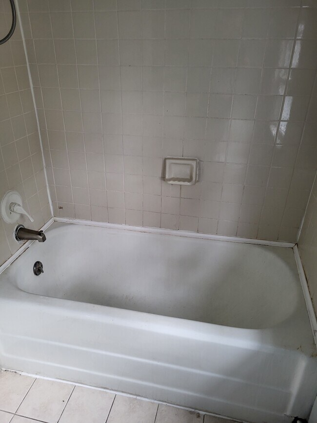 Shower/tub - 425 Vassar Rd