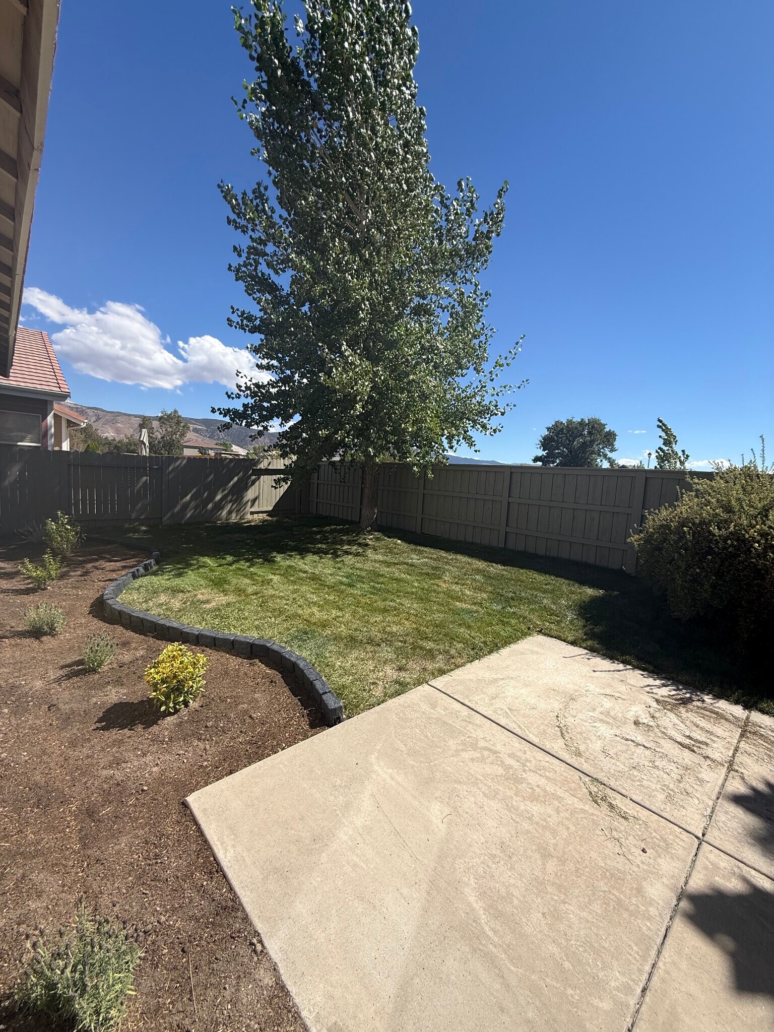 Backyard - 1640 Cattlemen Ct