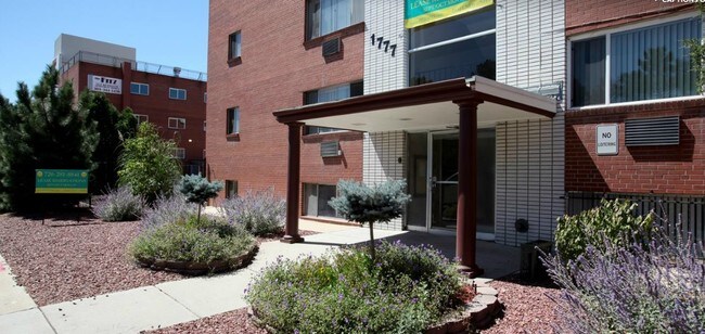 The Fitz - Fitz Apartments