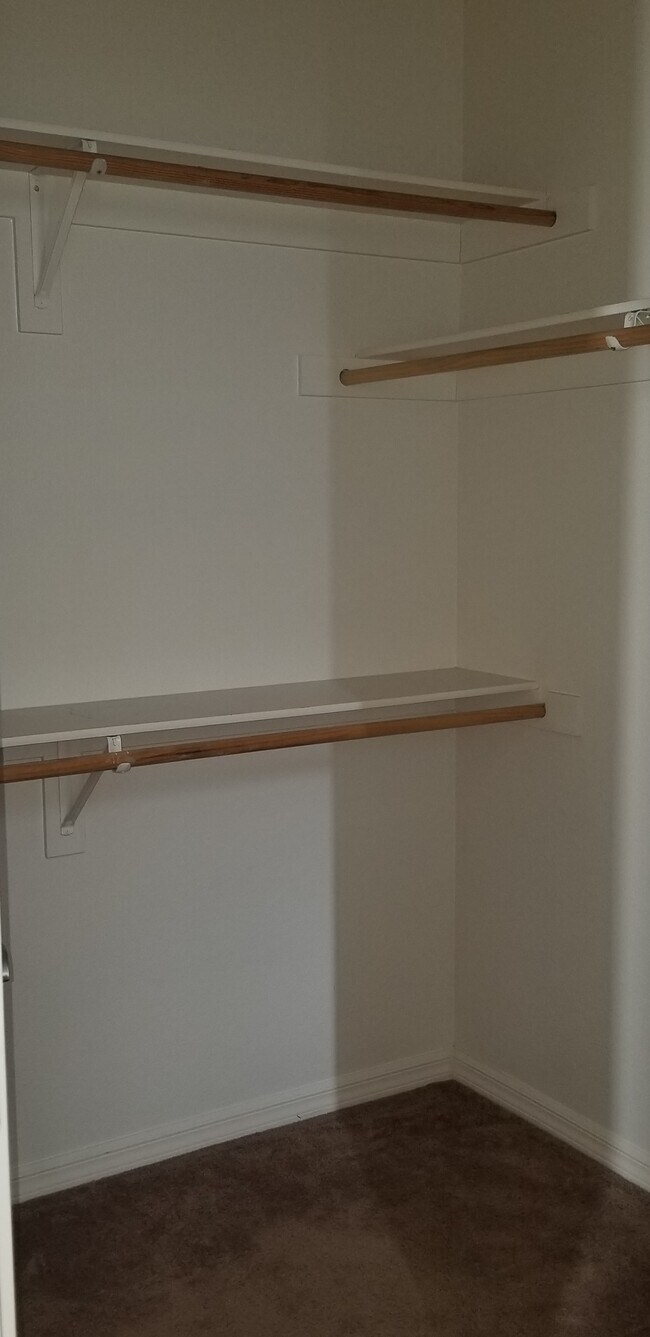 Building Photo - 4901 Oro Ln