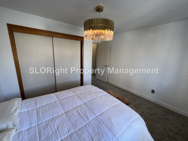 Building Photo - AVAILABLE NOW- Recently Updated Home on Lake Nacimiento - 3 Bed / 2 Bath