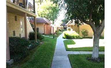 Building Photo - 1008 Las Lomas Dr