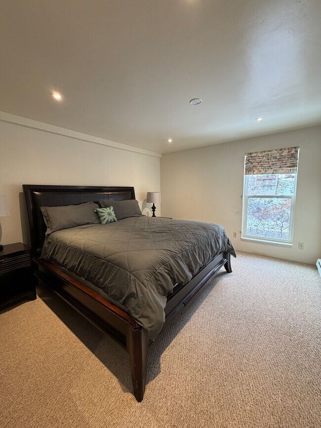 Building Photo - Furnished 2 Bedroom 1.5 Bath Condo on the Roaring Fork River