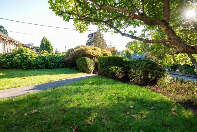 Building Photo - Beautiful Magnolia Brick close to village ...