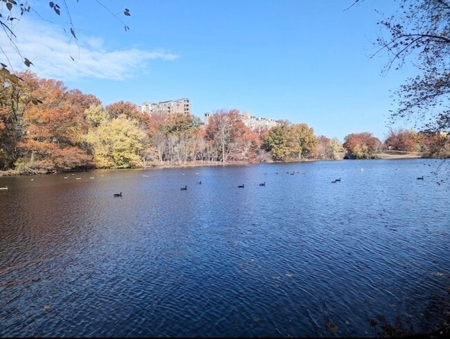 Building Photo - 8 Juniper St