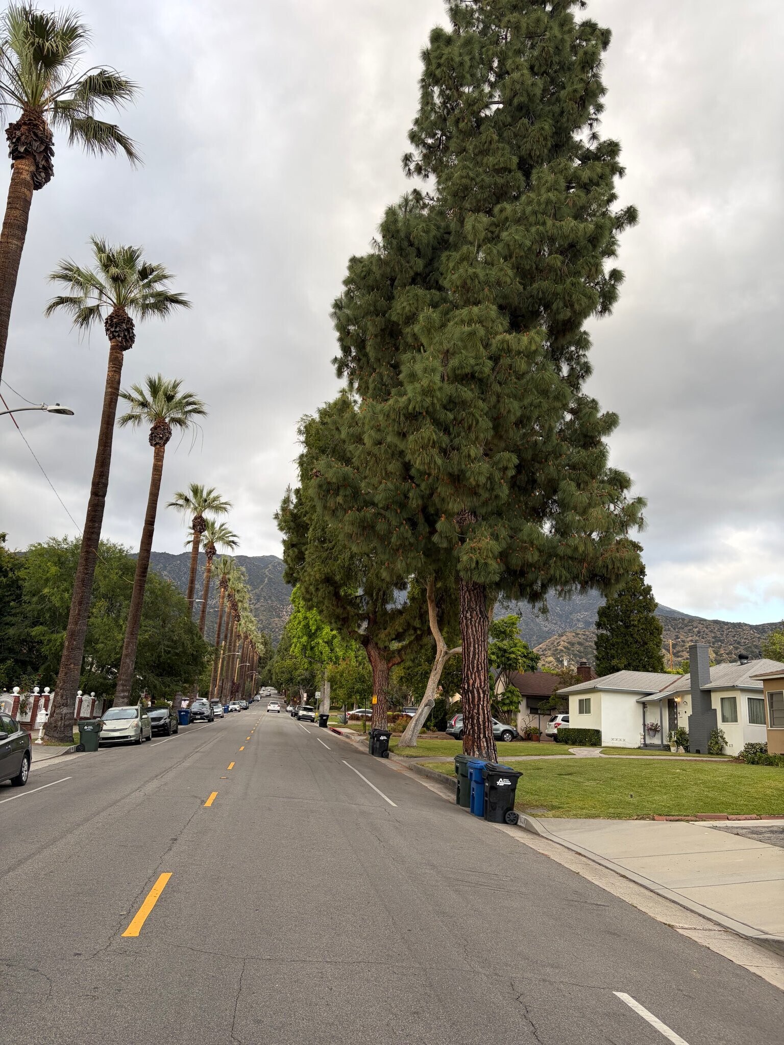 Building Photo - 159 N Canyon Blvd