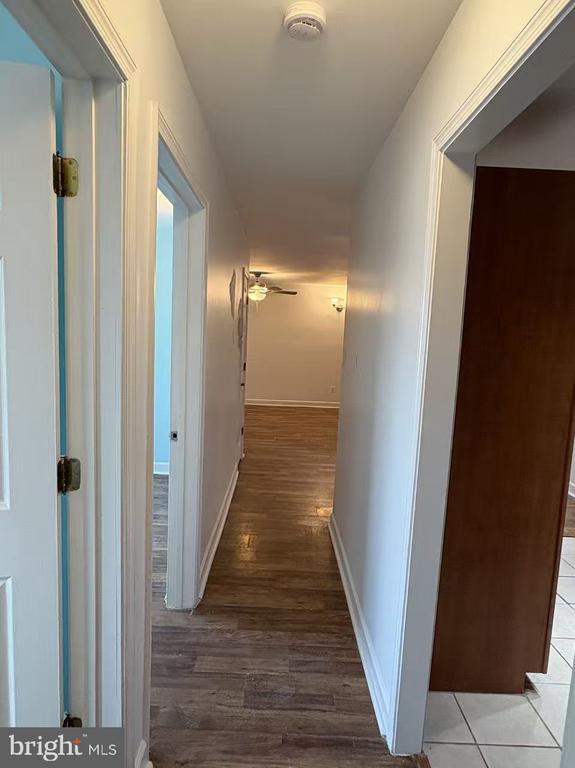 Building Photo - 1001 Marcy Ave