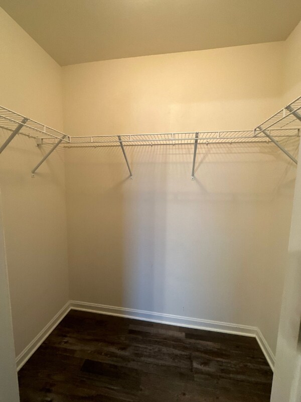 Building Photo - 309 Magellan Dr