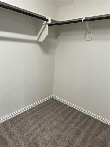 Building Photo - 3804 Honeycomb Holw