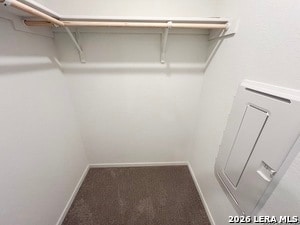 Building Photo - 3008 Carnelian Trl