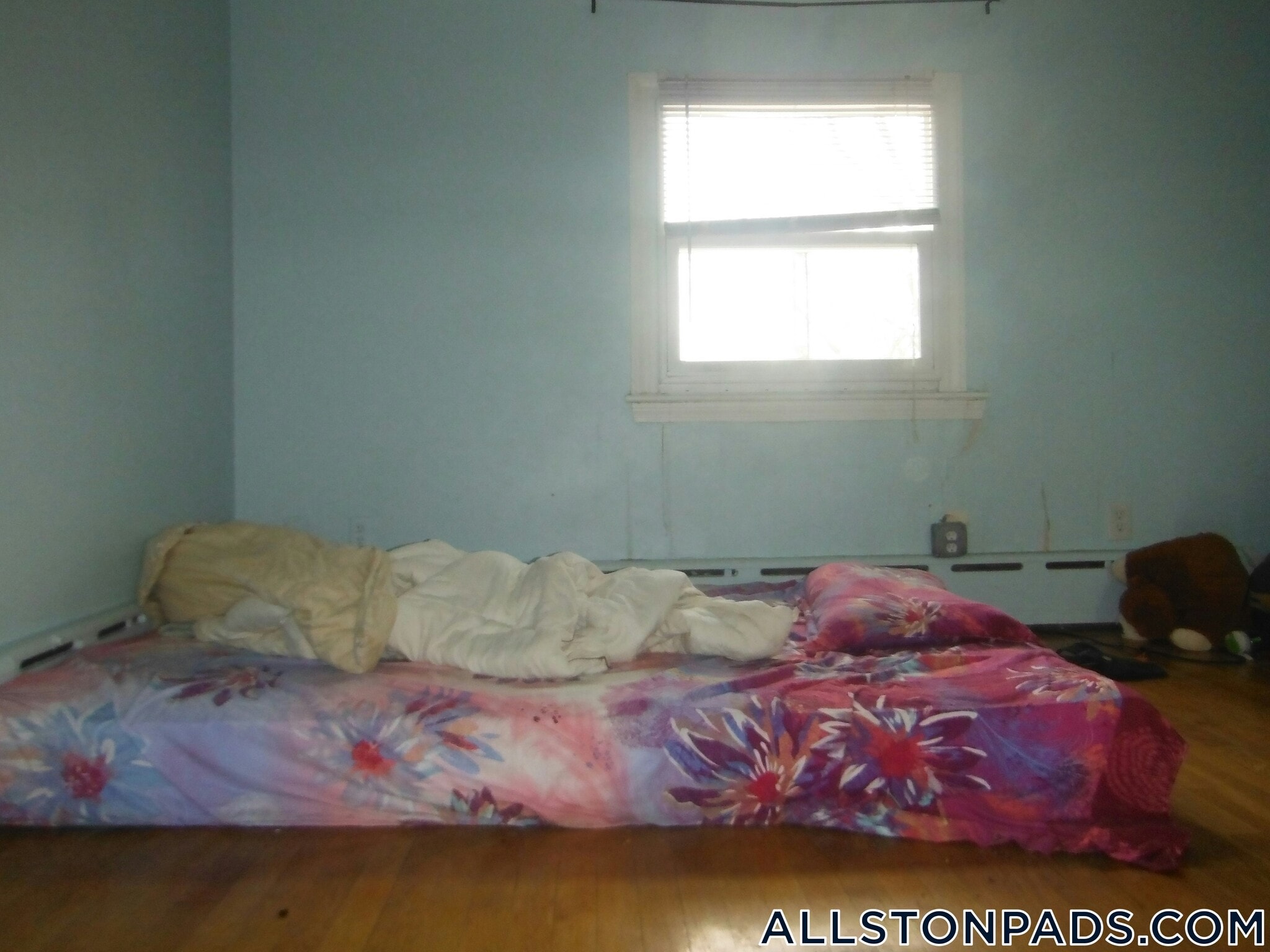 Building Photo - 26 Greylock Rd