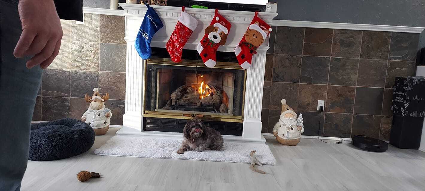 Building Photo - 24028 25th Ave S