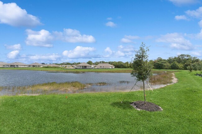 Building Photo - 4971 Armina Pl