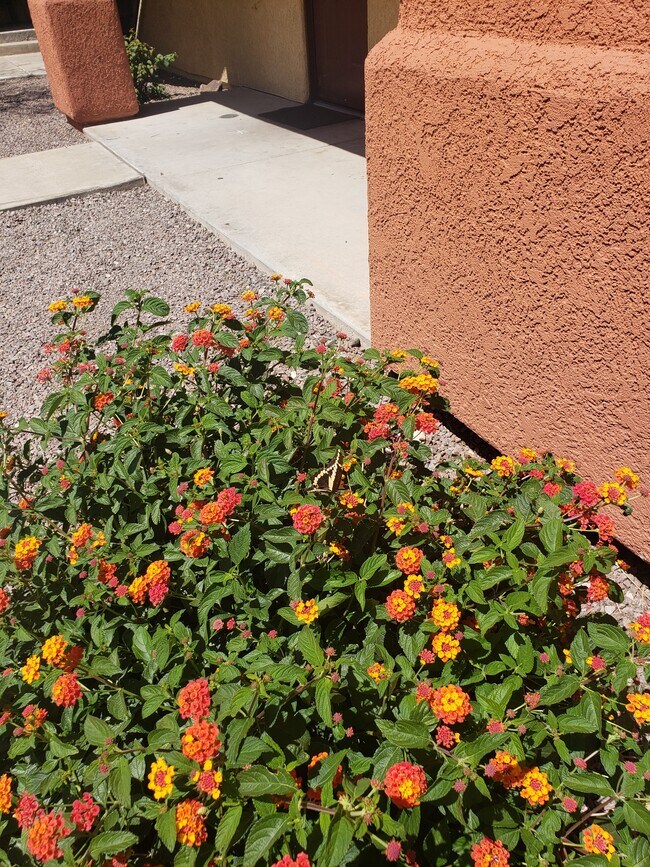 Building Photo - 2621 N Estrella Ave