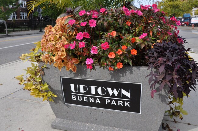 Building Photo - 732 W Bittersweet Pl