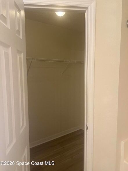 Building Photo - 241 Paquita Cir