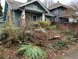 Native planted yard - 2814 SE Yamhill St