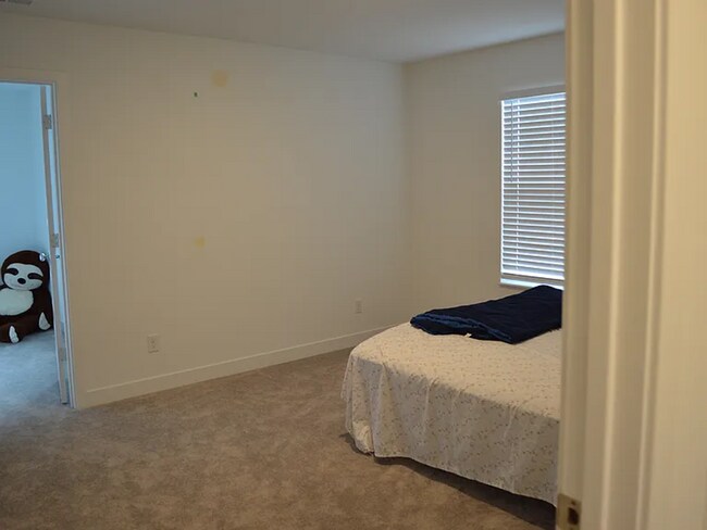 Building Photo - 4379 Risen Star Way