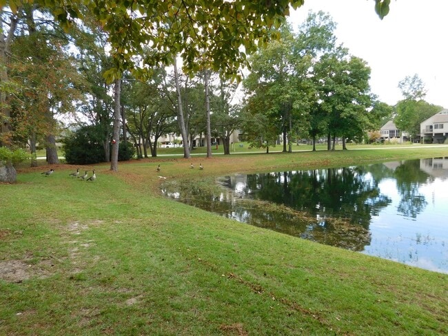 Building Photo - 1201 Harbourside Dr