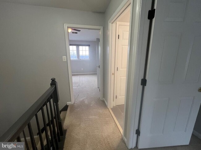 Building Photo - 4508 Papillion Ct