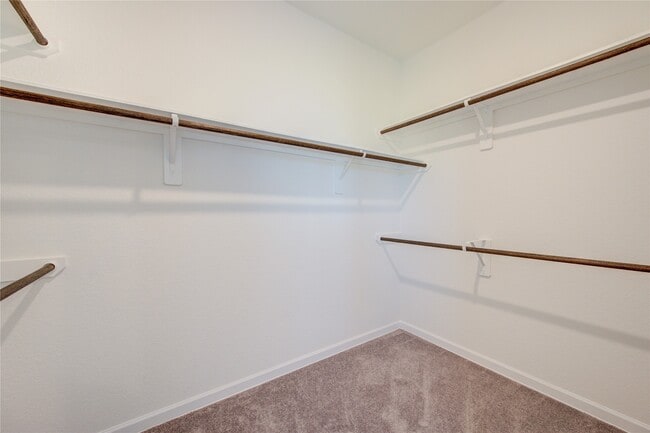 Building Photo - 3310 Driftwood Meadow Ln