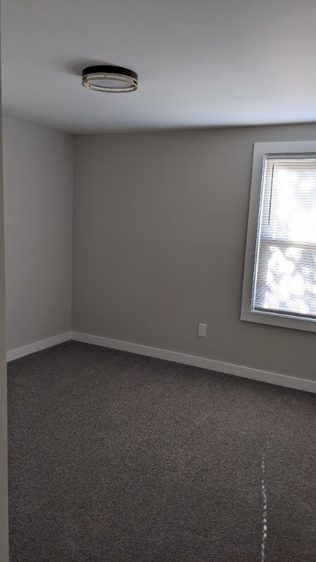 Building Photo - 26 Reeves St