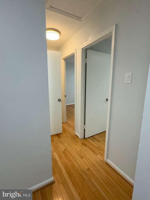 Building Photo - 4902 Van Walbeek Pl