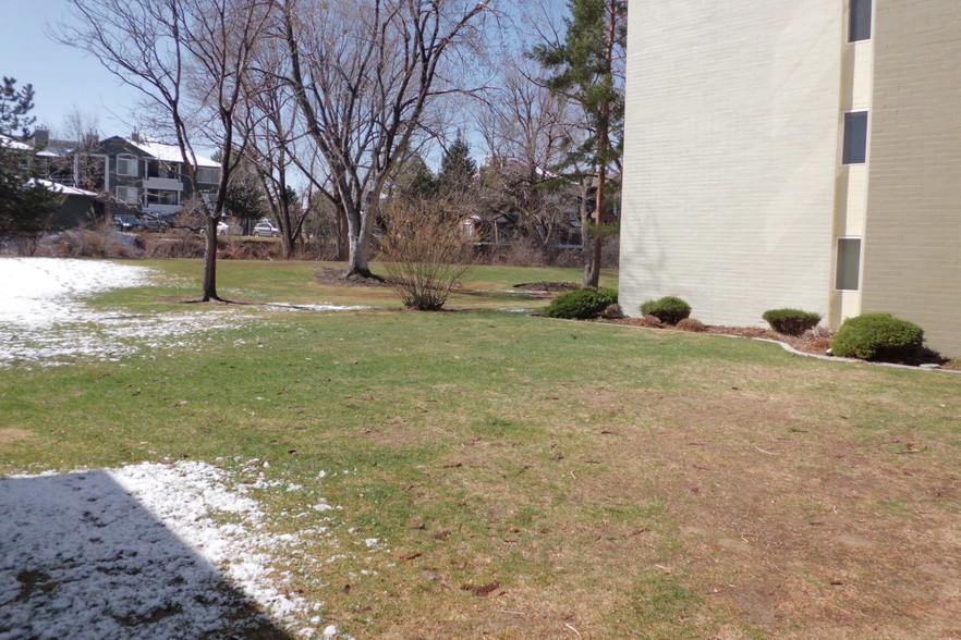 Dog Walk area - 745 S Alton Way