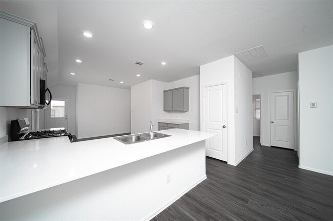 Building Photo - 18430 Cobalt Cove Ln