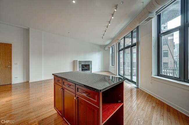 Building Photo - 333 W Hubbard St