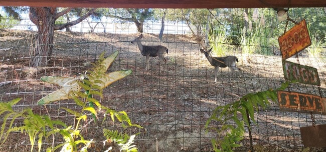 Building Photo - 100 Wimbledon Way