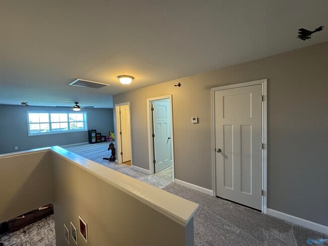 Building Photo - 217 Balota St