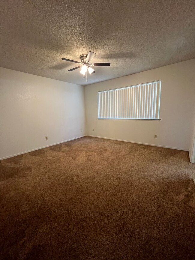 Building Photo - Robin