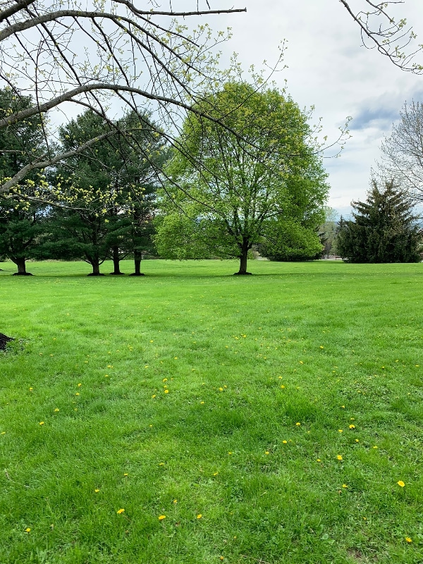 Building Photo - 1049 Danby Rd