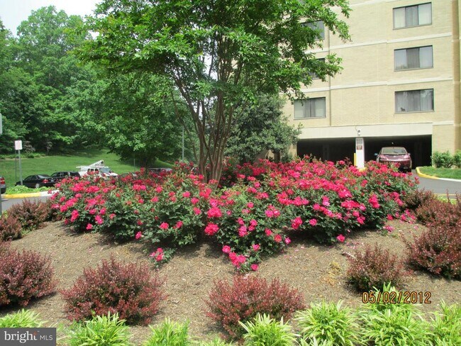 Building Photo - 205 Yoakum Pkwy