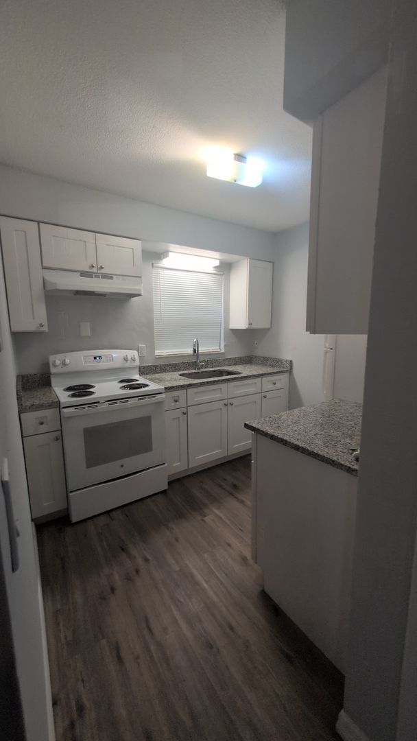 Building Photo - Renovated one bedroom with dog area heart of Tampa near veterans hospital and USF